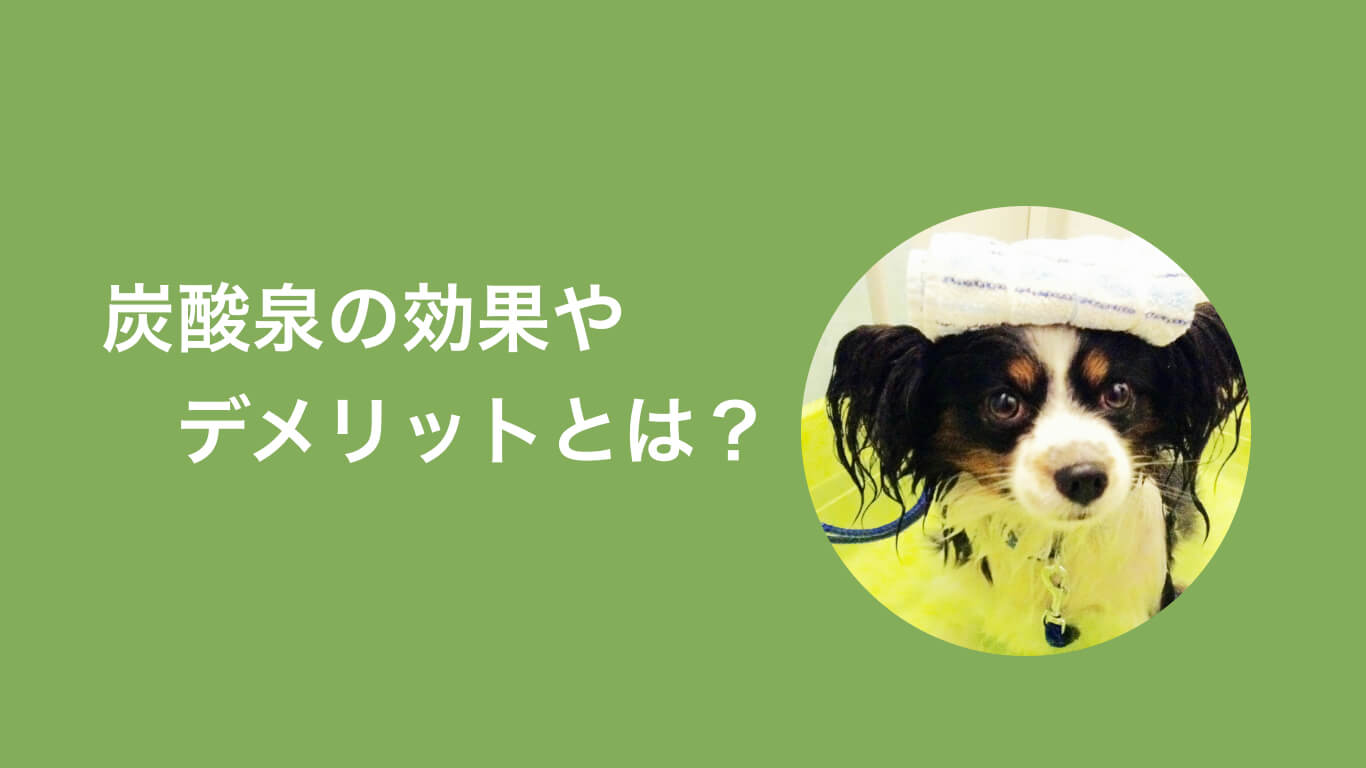 炭酸泉 シャンプー 犬 セール