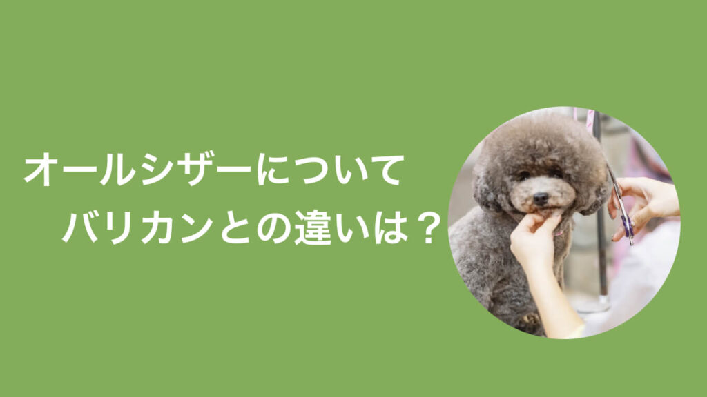 トリミングのオールシザーとは？メリットやバリカンとの違いをご紹介